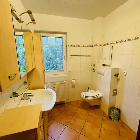 H 19 格拉尔-米里茨